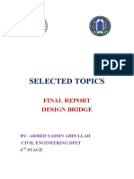 Selected Topics: Final Report Design Bridge