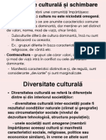 Prezentare 5-Diversitate Culturala