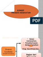 Promosi Kesehatan