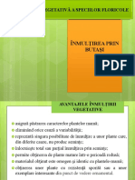 Înmulţirea Prin Butaşi PDF