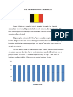 Aspecte Macroeconomice Ale Belgiei