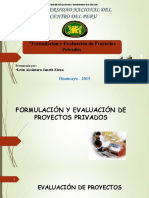 Formulación y evaluación de proyectos privados