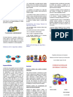 Triptico Consejo Nacional de Seguridad y Defensa