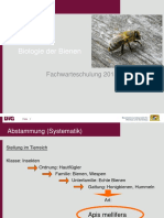 Biologie Der Bienen