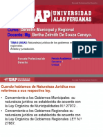 1 - Naturaleza Jurídica de Los Gobiernos Municipales y Regionales Ambito y Jurisdiccion