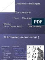 Seminari Mikrokoket