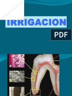 irrigacin-101108123910-phpapp02