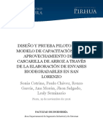 PYT_Informe_Final_Proyecto_BIOCASPACK.pdf
