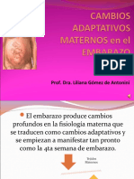 005 UNLP.FCM. Cat de obstetricia Teorico ADAPTACIONES  MATERNAS AL EMBARAZO COMPLETO