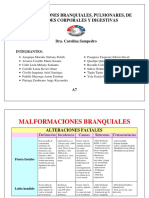 Seminario 1 - Malformaciones Branquiales Malformaciones Pulmonares Malformaciones de Cavidades Corporales Malformaciones Digestivas