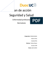 Plan de Acción Seguridad y Salud Final