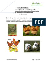 Programa-Avícola-Nivel-1 (1)