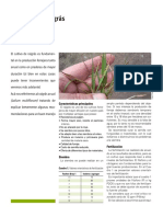 cultibvos.pdf