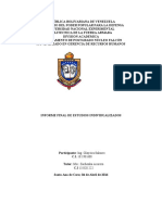 Informe Final Estudios Individualizados