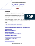 curso_gnose_licao_3.pdf