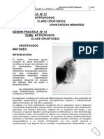 12.-13.- CRUSTACEOS.pdf