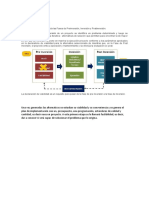 Ciclo Del Proyecto Mef