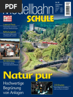 Modellbahn Schule Nr 30 - Natur pur.pdf