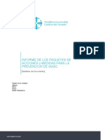 Plantilla-Informe de Los Paquetes de Medidas para La Prevencion de Iass