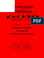 Revolução Indigena Ebook Arte