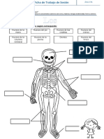 S2 - Ficha de Trabajo de Sesión (FTS) LOS HUESOS