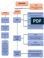 Mapa Conceptual Hueso Hioideo