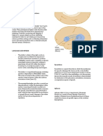 Higher Cortical Functions