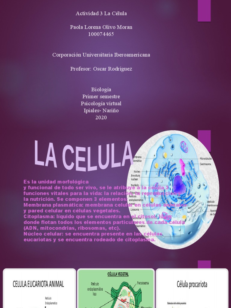 Estructura y funciones de la célula | PDF | Citoplasma | Biología Celular)