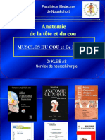 01 Kleib Pcem2 PDF