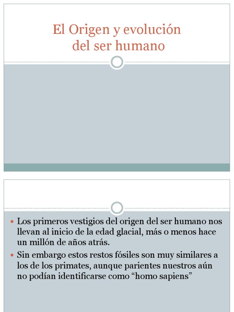 El Origen Del Ser Humano PDF | PDF | Homo | Evolución humana