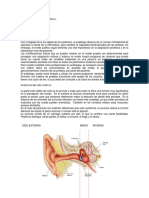 Tecnología Del Molde Auditivo PDF