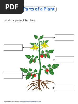 label-plant.pdf
