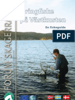 Fiskeguide Västkusten