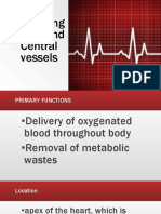 Assessing Heart and Central Vessels