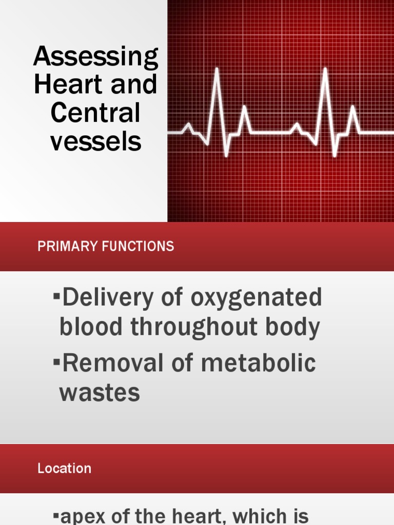 Assessing Heart And Central Vessels Pdf Heart Valve Heart