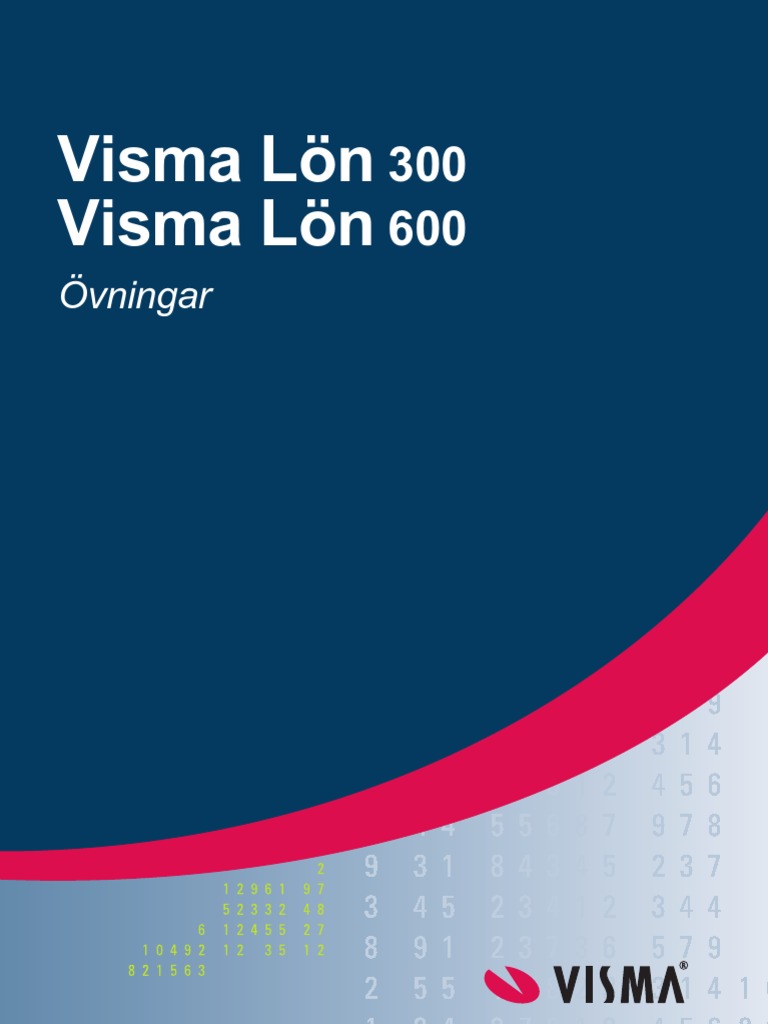 Visma Lon 300