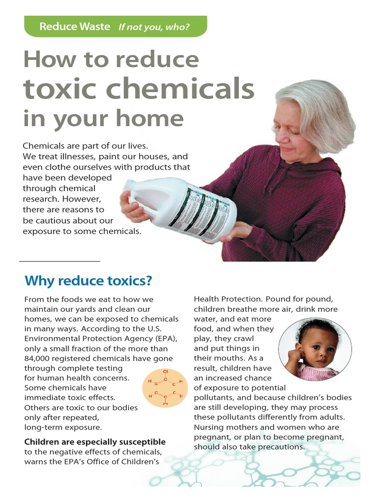 Reducing Toxic Chemicals at Home | PDF | Air Pollution | Toxicity