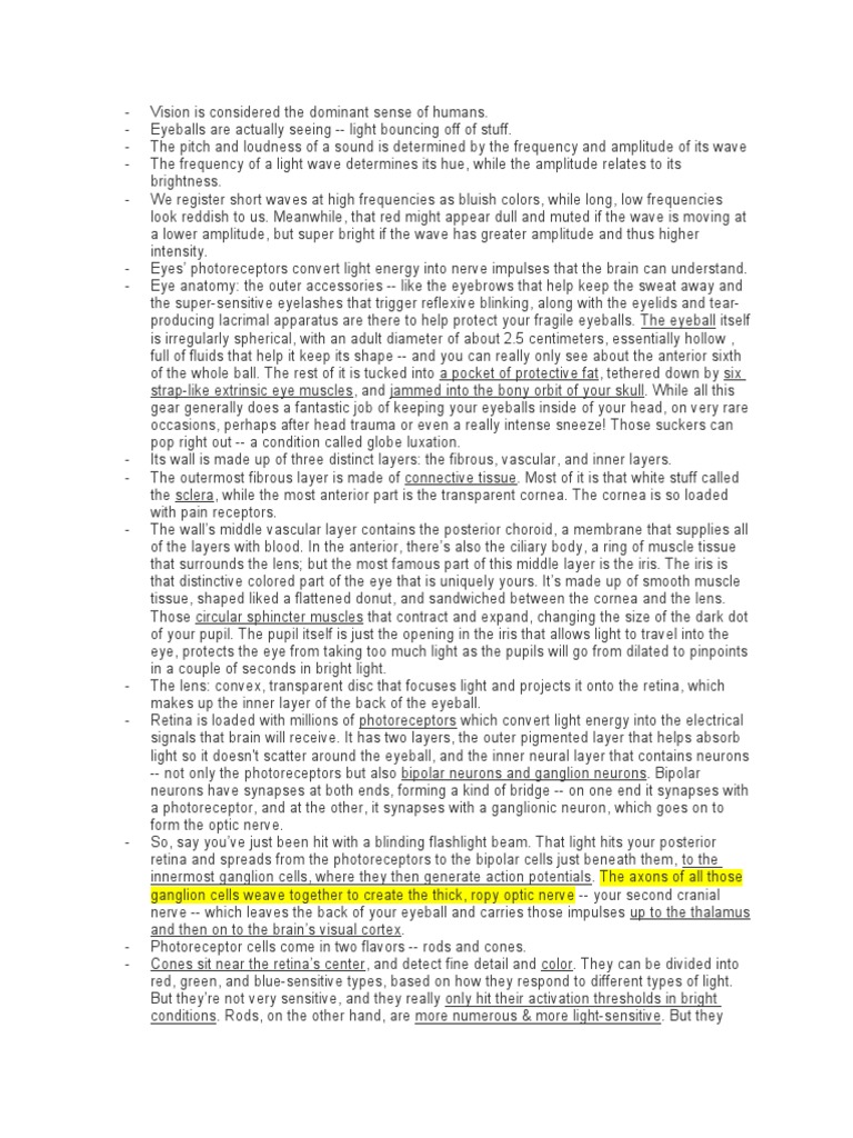 Crash Course Vision PDF Retina Visual System