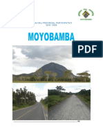 PLAN VIAL PROVINCIAL MOYOBAMBA 2015-2024 Ok