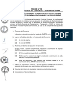 Anexo 15 - Modelo de Informe Final PDF