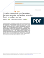 Stimulus Dependent Transformations Between Synaptic and Spiking Receptive Fields in Auditory Cortex