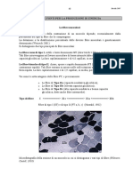04 Fonti Energia.pdf