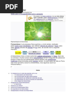 Processo Fotosintético