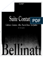 vdocuments.mx_paulo-bellinati-suite-contatos.pdf