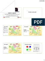 4 Abordagem Nutricional Na Saude Capilar e Ungueal Aline Schneider PDF