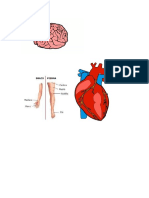 Fundamentos