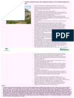 Interpretation Manual of European Union Habitats. Eur 28 (April 2013)