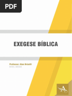 Exegese-Biblica---Prof-Alan-Brizotti.pdf