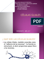 clulasgliales-170408034620