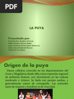 La Puya